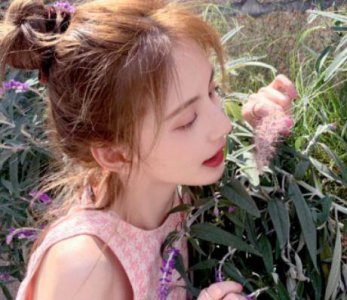 ​爱豆生日应援文案 表白偶像的唯美句子合集34句