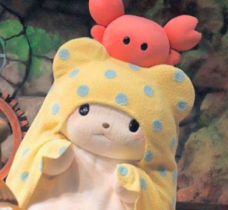 ​关于人间值得的唯美句子21句