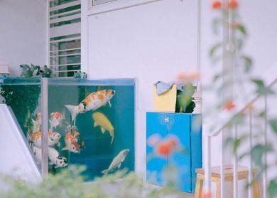 鼓励高中孩子励志的一句话