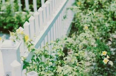 ​励志诗词唯美的句子