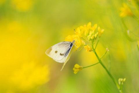 青春励志的古风句子