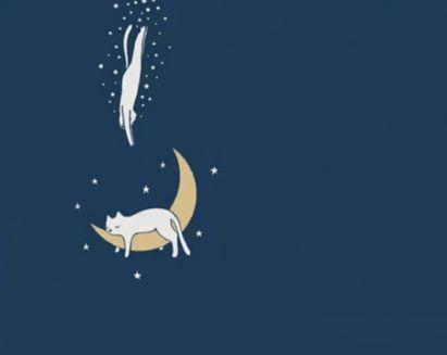 选择大于努力励志语录