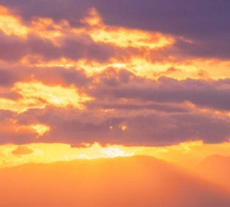 ​赏梅的优美句子 梅花的句子励志