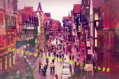 ​森林报好词好句