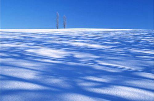 给中考加油的话语