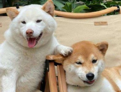 ​早安问候语短句 微信早安问候语(精选68句)