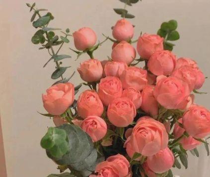 2025年简单的qq空间正能量语句摘录98句