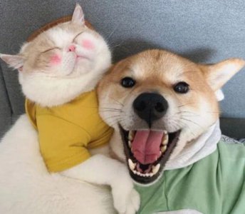 ​早安暖心话短句正能量合集78句