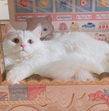 【热门】2025年人生哲理句子集合48条