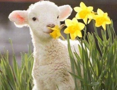 ​排比句的范文40句