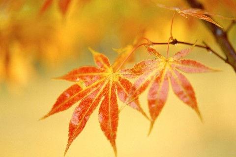 早安正能量语句摘录80条