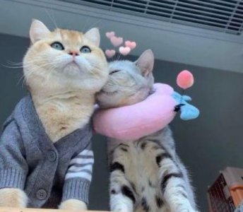 ​写景优美句子30条