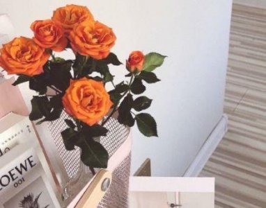 ​2025关于最新表白的句子 2025新年表白句子(精选53句)