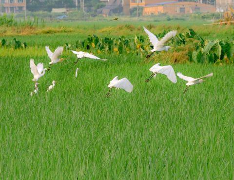 2025年常用早安正能量语句摘录66条