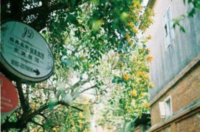 ​简单的qq空间正能量语句摘录58条