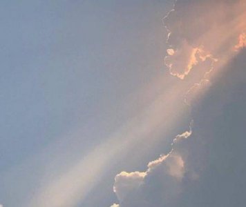 ​自己一个人挺好的句子 2025年单身一个人挺好的句子