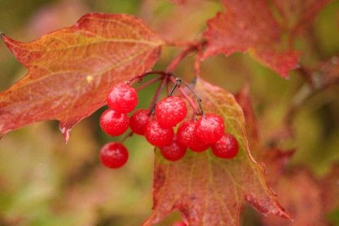 2025年实用的qq空间正能量语句集锦55条