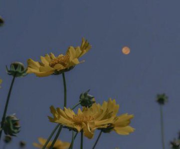 ​早安的正能量的句子