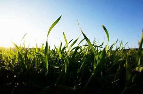 鼓励人工作的正能量句子