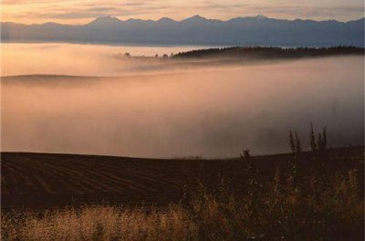 ​老公夸老婆头发剪的好句子