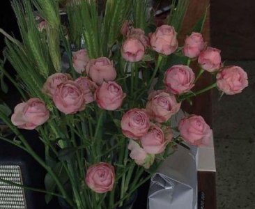 ​正能量语句摘录49条