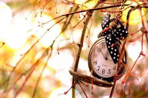 正能量感悟的句子