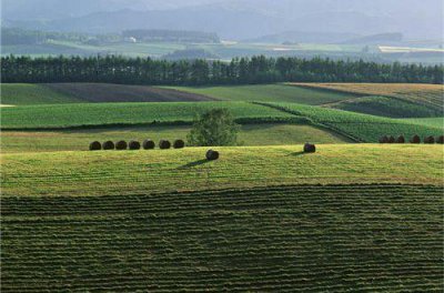 ​早安正能量语句摘录45条