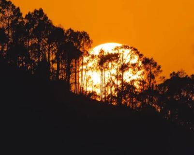 有关晚安正能量语句44条