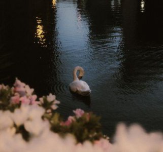 ​每日晨语分享正能量早安心语简短一句话合集36句