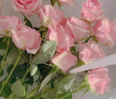 简短的qq空间正能量语句35条