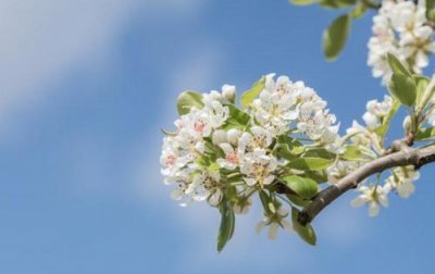 ​正能量早安问候的句子