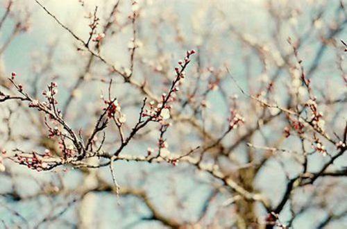 让人获得正能量的句子