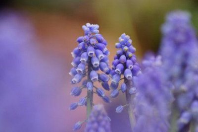 ​正能量短句子以内