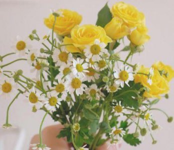 ​早安语录每日正能量一句话合集37句