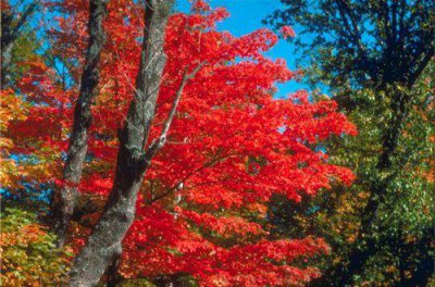 ​晚安语录正能量的话集锦28句