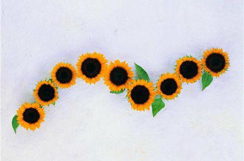 晚安心语正能量一句话