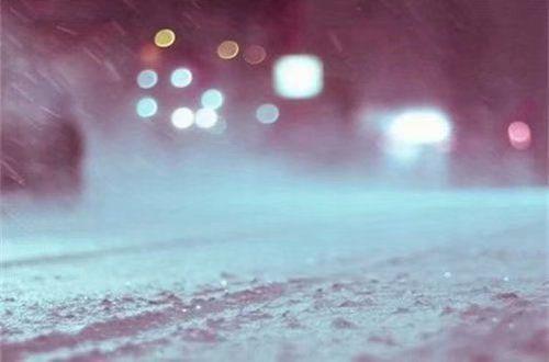 热爱读书的正能量句子