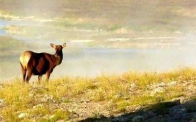 ​每日早安正能量短句集锦27句