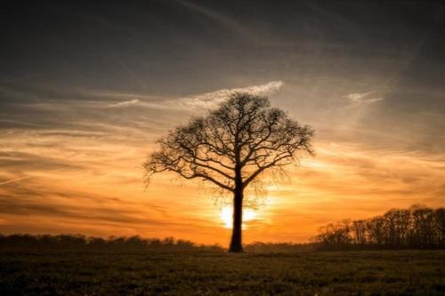 早安心语正能量 早安简单致自己的一句话