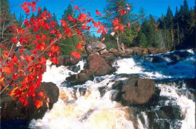 ​女生微信个性签名大全励志(33句)