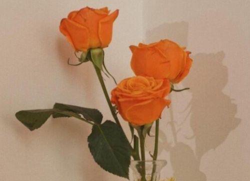 每日晨语分享正能量一句话