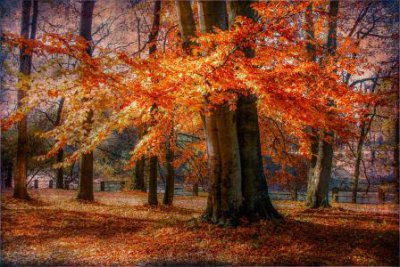 ​正能量晚安的心灵寄语 充满正能量的晚安心语