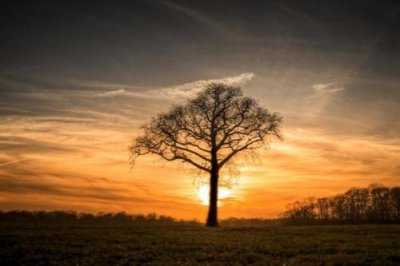 ​2025年少女心可爱短句(55句)