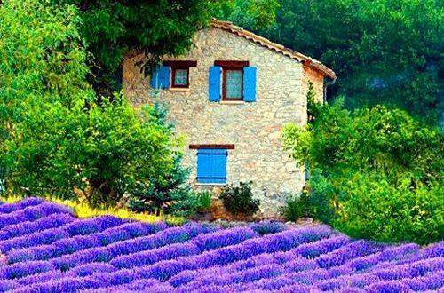 2025年睡前给异性一句话暖心话