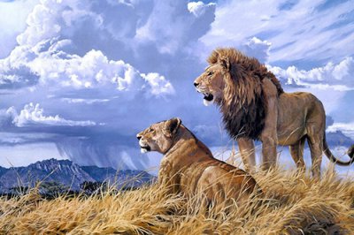 ​最新爱情思念短信95句