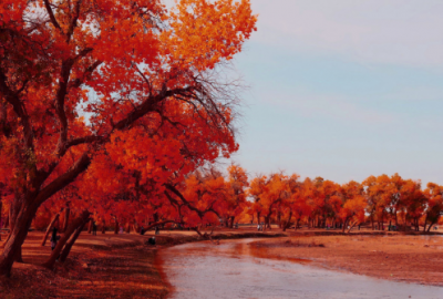 ​简单又暖心的晚安心语 超短晚安句子(65句)