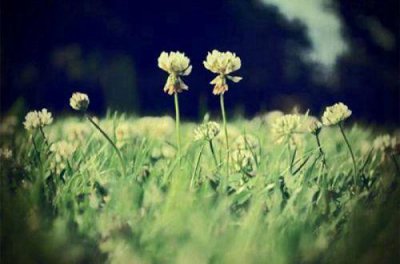 ​早安正能量问候语