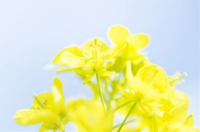 ​最美好的爱情句子99句