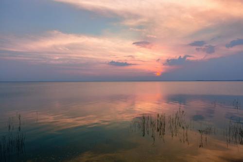 简洁的爱情优美句子摘录98句