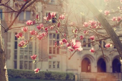 ​简短的英文谚语